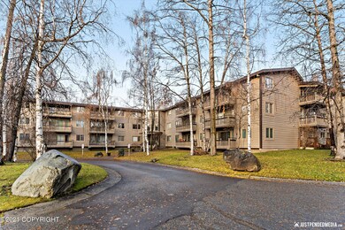 03-DSC04335