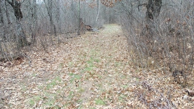 Lot 1 300th St, Sterling Township, WI 54024 - photo 7