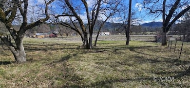 7821,41,51 California 3, Hayfork, CA 96041 - photo 2