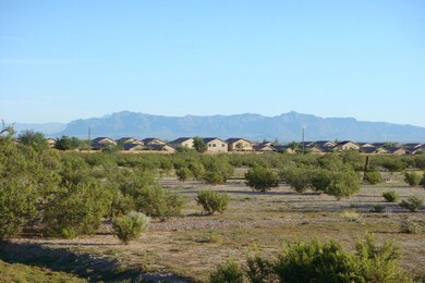 DSC04469