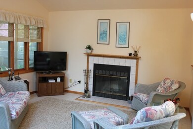 Wood burning fireplace