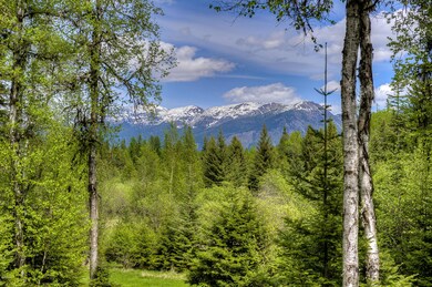 31076 Old Timber, Bigfork, MT 59911 - photo 3