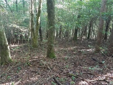 Hardwoods, Rhododendron, and Mountain Laurel Galor