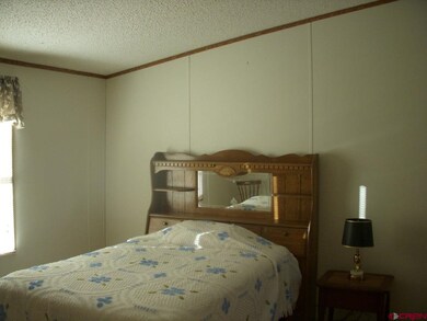 9th Street, Cedaredge, CO 81413 - photo 7