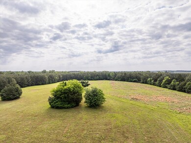 5740 Cobbham Rd, Appling, GA 30802 - photo 4