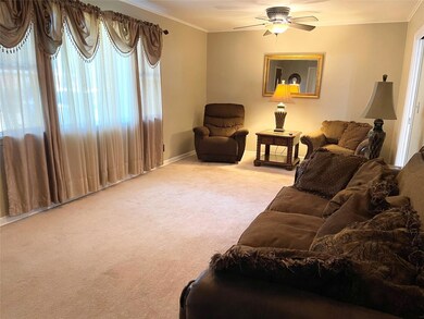 Carpeted living room with plenty of natural light,