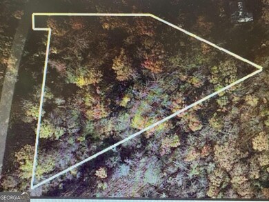 6 Morgan Ridge Ct, Young Harris, GA 30582 - photo 4