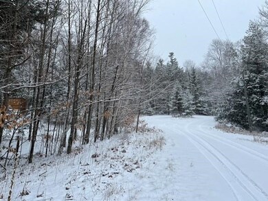 TBD Rolling Hills Road Lot 917, Beaver Island, MI 49782 - photo 2