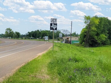 0 N Highway 69, Alto, TX 75925 - photo 4