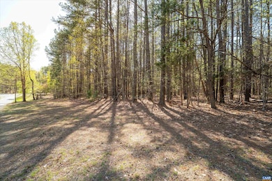 LOT 27 Martin Kings Rd unit 7600, Charlottesville, VA 22902 - photo 7