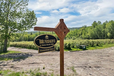 11 Fieldstone Way, Gilford, NH 03249 - photo 4