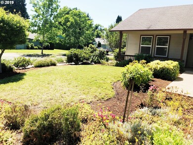 Front Yard