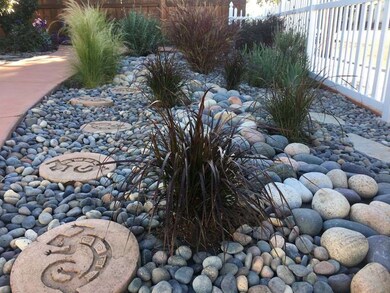 Drought tolerant landscaping.