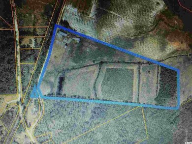 7230 Tracy Dr, Conway, SC 29526 - photo 3