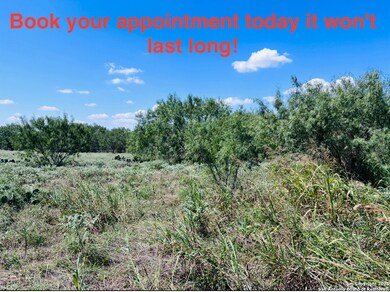 0 Texas Highway 16, Jourdanton, TX 78026 - photo 4