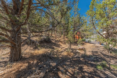 24-web-or-mls-Riley_Visuals-24