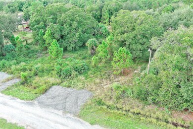 350 S Olivo St, Montura, FL 33440 - photo 5