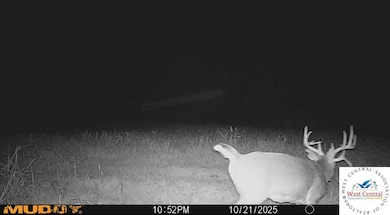 451 Tavern Creek Rd, Iberia, MO 65486 - photo 4