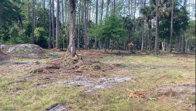 19950 Palm Beach Blvd, Alva, FL 33920 - photo 5