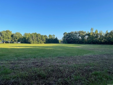 9999 N 3rd St, Vandervoort, AR 71972 - photo 4