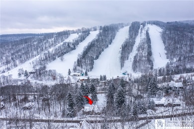 6710 & 6750 Upper Holiday Valley Rd, Ellicottville, NY 14731 - photo 3