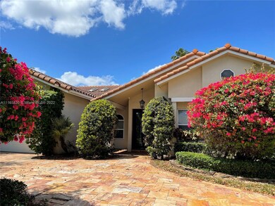 Beautiful Bougainvillea Trees adorn the property