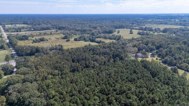 B-1-A Old Scenic Hwy, Zachary, LA 70791 - photo 6