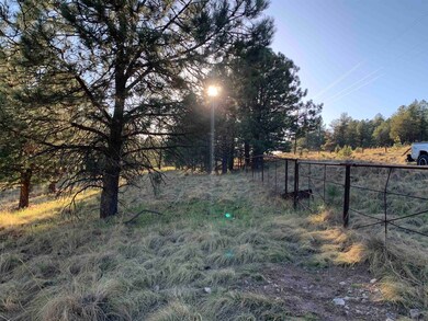 Lot 4 James Canyon Hwy unit 4, Cloudcroft, NM 88317 - photo 5