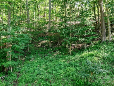 0 Chestnut Ln unit Lot 84, Mars Hill, NC 28754 - photo 6