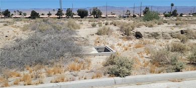 34335 Thomas Ct, Thousand Palms, CA 92276 - photo 2