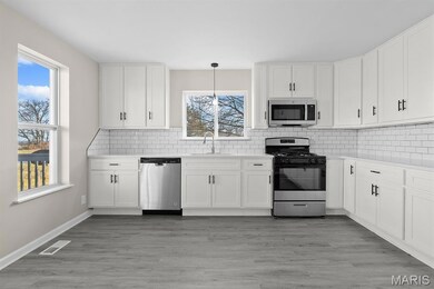 7097 State Route 3, Evansville, IL 62242 - photo 5