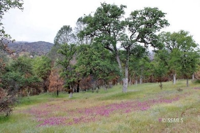 22885 Mistletoe Ct, Caliente, CA 93518 - photo 6