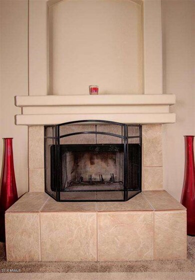 Wood burning fireplace