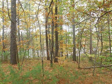 73 Silver Ln, Limerick, ME 04048 - photo 5