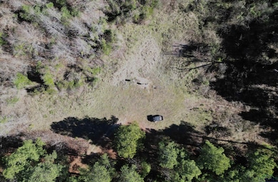 TBD County Road 3217, Atlanta, TX 75551 - photo 3