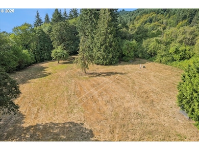 25900 NW Saint Helens Rd, Scappoose, OR 97056 - photo 5