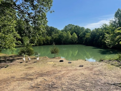 307 Henderson Rd, Shelbyville, TN 37160 - photo 5