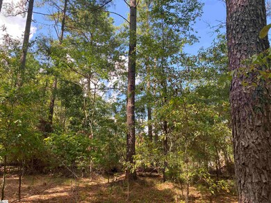 0 Sandy Springs Rd, Pelzer, SC 29669 - photo 3