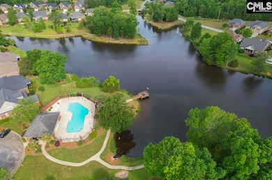 14 Hilton Glen Ct, Chapin, SC 29036 - photo 7