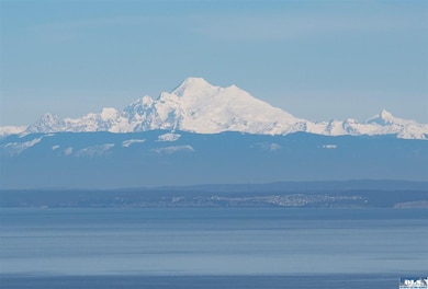 Majestic Mt. Baker