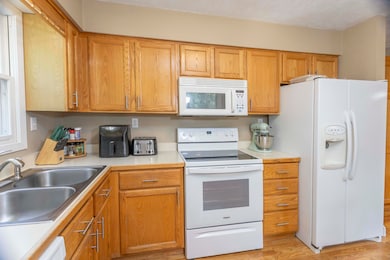 20420 Thornapple Ln, Big Rapids, MI 49307 - photo 5