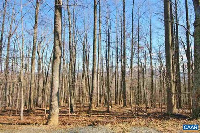 845 Crawfords Climb, Nellysford, VA 22958 - photo 5