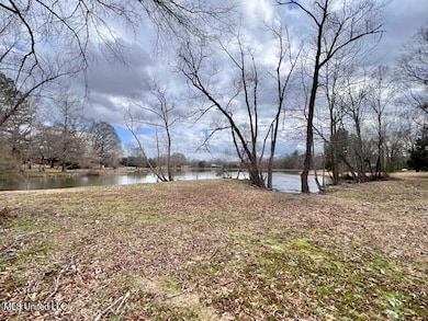 0 Old Orchard Rd unit 4102935, Madison, MS 39110 - photo 3