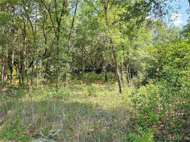 TBD SW 93RD PL, DUNNELLON, FL 34432