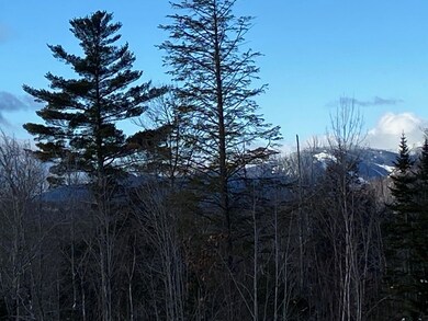 Lot 3-2 Thoreau Rd, Hanover, ME 04237 - photo 2