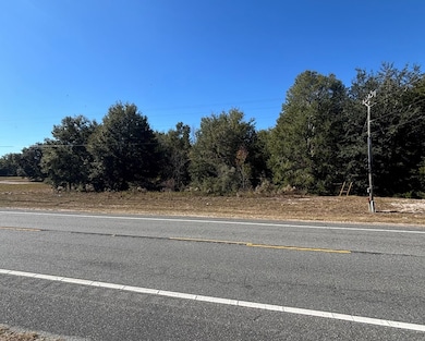 0001 NE 349 Hwy, Old Town, FL 32680 - photo 5