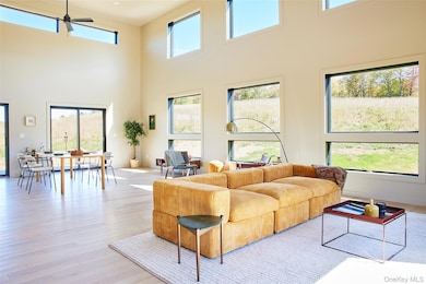 146 Buddenhagen Rd, Callicoon, NY 12723 - photo 7