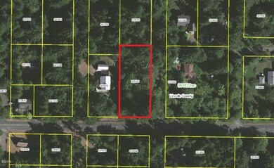 Aerial Mapped View 2