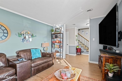 1120 Buxton Dr, Knoxville, TN 37922 - photo 6