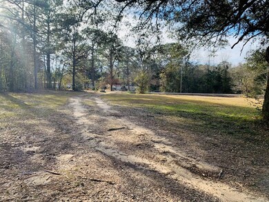 10256 Rabbit Run Rd, Baconton, GA 31716 - photo 2